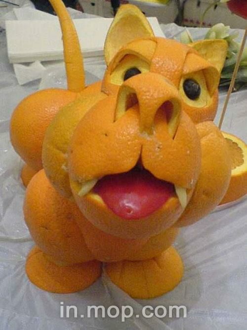 �ɹ�Ƥ�ƳɵĶ�����Ʒ