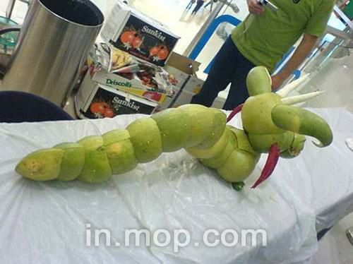 �ɹ�Ƥ�ƳɵĶ�����Ʒ(4)