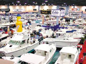 �ݳ�Ʒչ&nbsp;��۱���ľ���