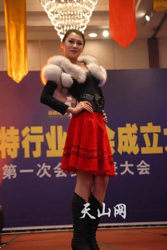 �½�ģ����ҵЭ������³ľ����Ƴ���