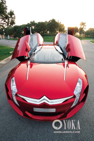 ѩ����C-Metisse��ɫ�����