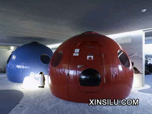 Google�����������º����ܲ�