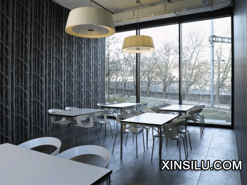 Google�����������º����ܲ�