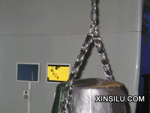 �ݳ޵Ļ��������ι�CHANEL��������չ