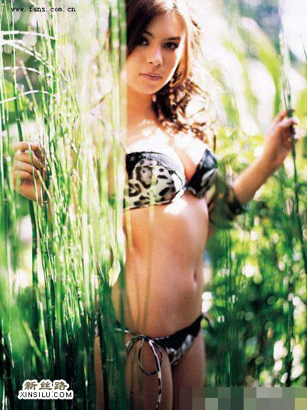 ��������ü�ջ�װ��������Ѫ