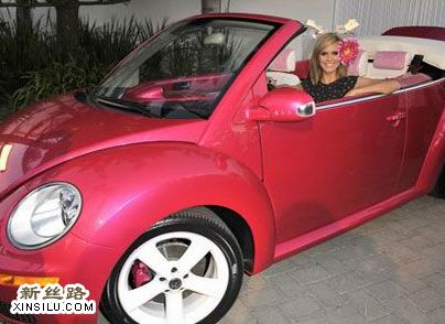 ��ģ����-����ķ�����ű���&nbsp;����ɫ�׿ǳ泵