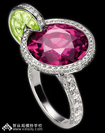 Piaget��β�ƽ�ָ