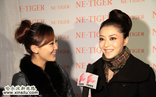 ģ��������