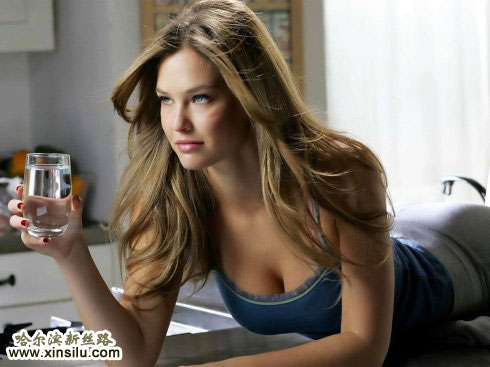 ������������������̳