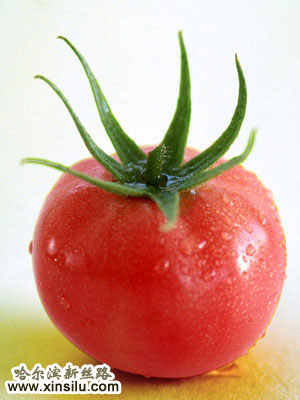 ��ģ̹¶��ǿ�����ؾ�