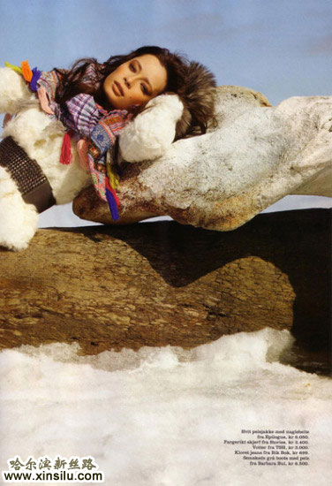 ѩ����ĳ�ģ