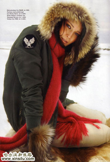 ѩ����ĳ�ģ