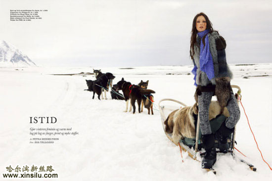 ѩ����ĳ�ģ