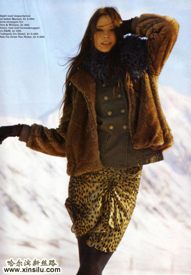 ѩ����ĳ�ģ