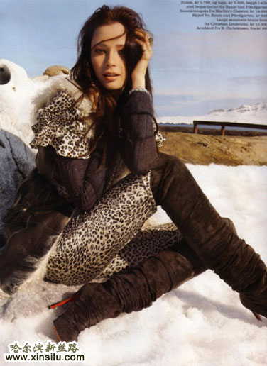 ѩ����ĳ�ģ