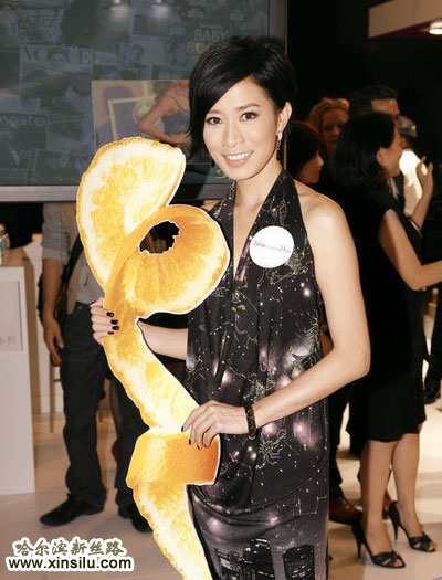 ��ʫ��¶��װ�������