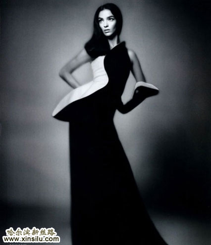 ��ģ��½�й��桶VOGUE��