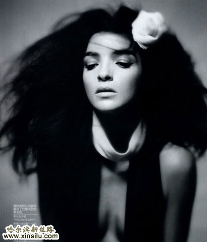 ��ģ��½�й��桶VOGUE��