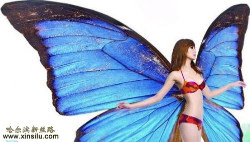 �������Ը�����д��