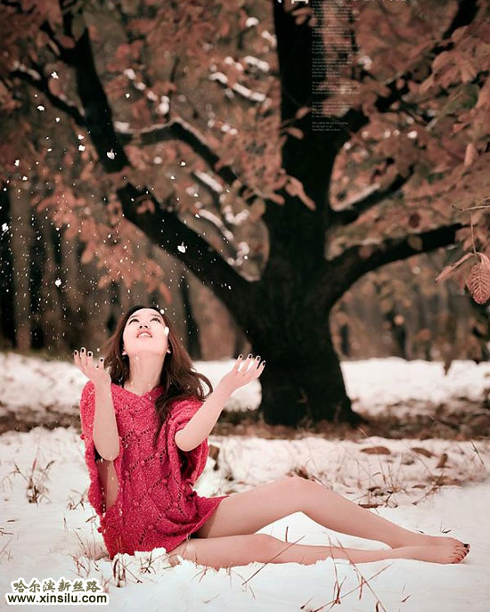 ģ��ѩ��Ϊ��������