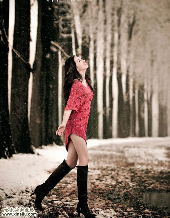 ģ��ѩ��Ϊ��������