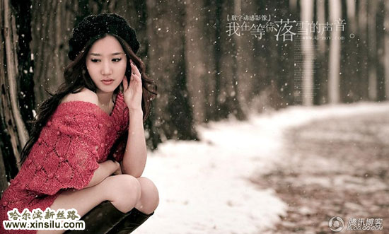 ģ��ѩ��Ϊ��������