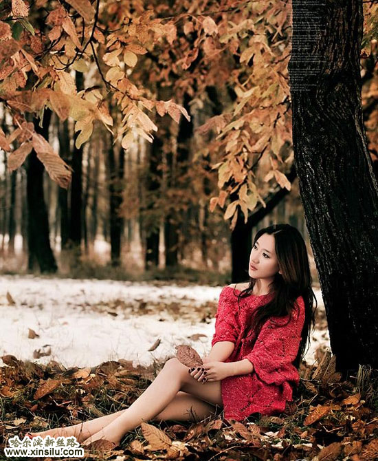 ģ��ѩ��Ϊ��������