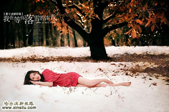 ģ��ѩ��Ϊ��������