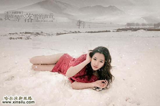 ģ��ѩ��Ϊ��������