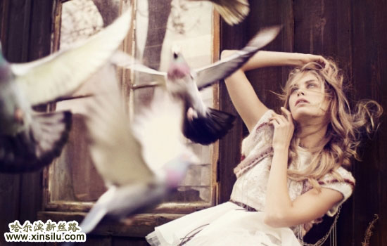 �й�ũ���Ļ�����Ƭ