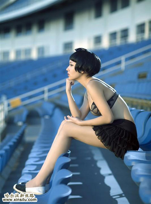 ���򱦱�������