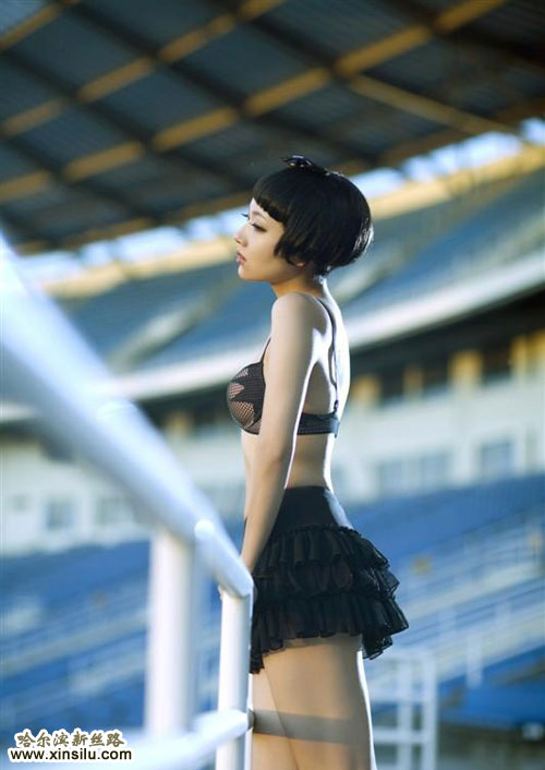 ���򱦱�������