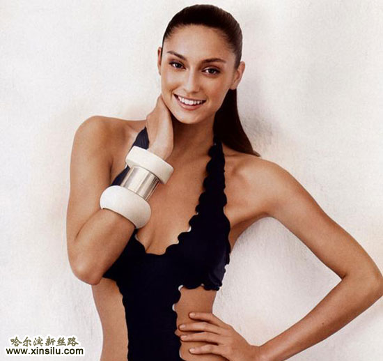 �Ȼ���Ӿװ��־��Ƭ