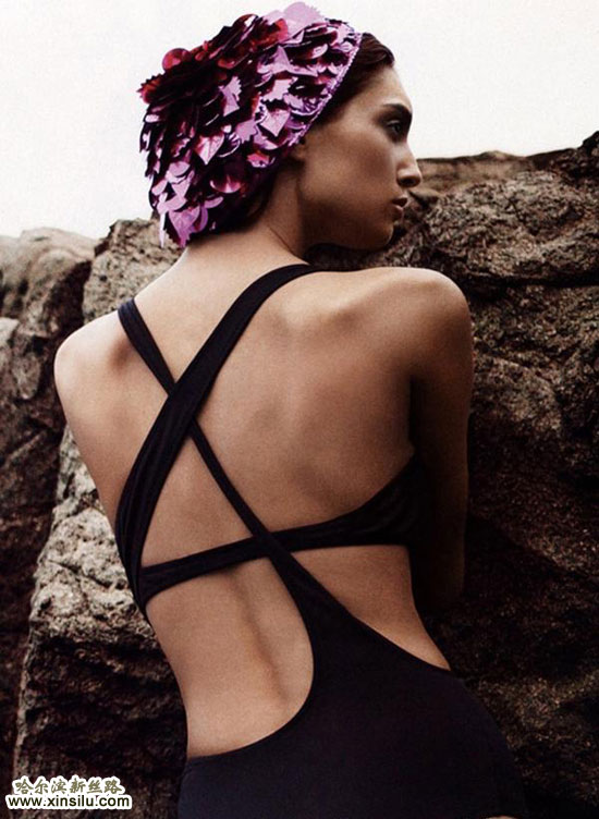 �Ȼ���Ӿװ��־��Ƭ