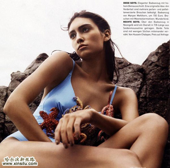 �Ȼ���Ӿװ��־��Ƭ