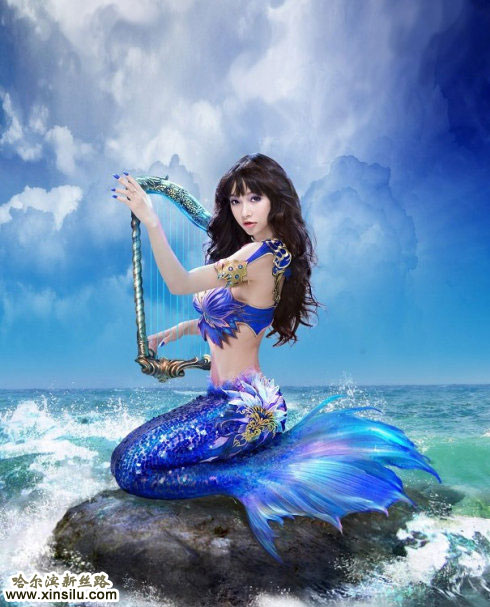 �й�������ģ��