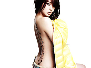 ģ�������ݹ���㱳�����Ը�����