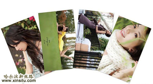 ��ģ��־��