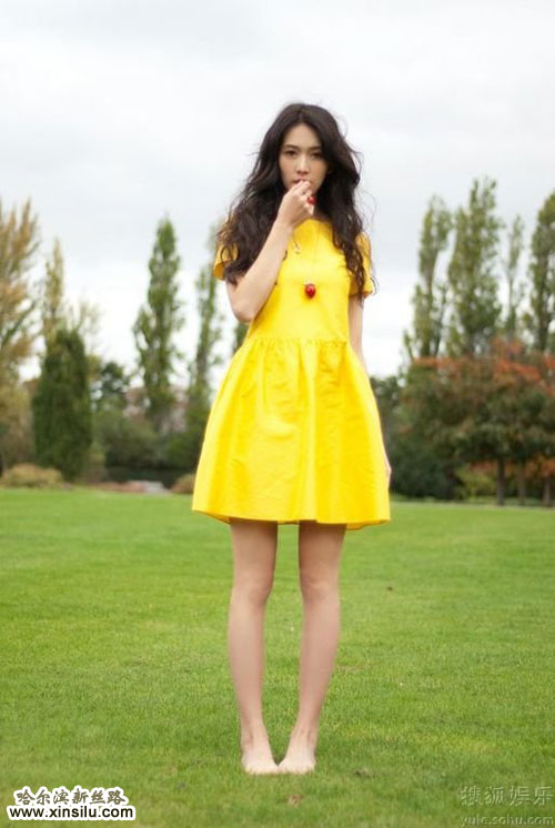 ��ģ��־��