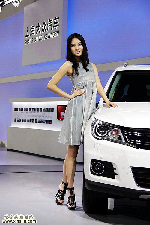 2009���ݳ�չ10������ģ��