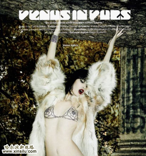 ��ģ����Ƥ�ݴ�Ƭ