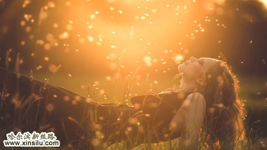 ��ģ�����ļ���Ƭ��ζչ