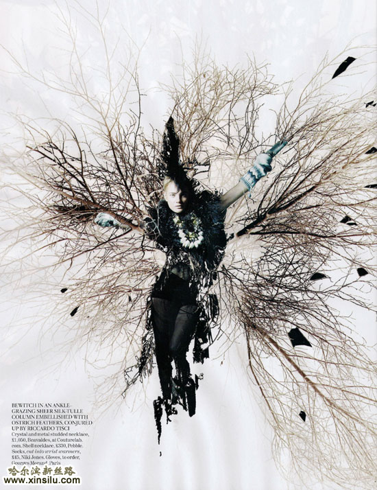 ���䳬ģ���������޴�Ƭ