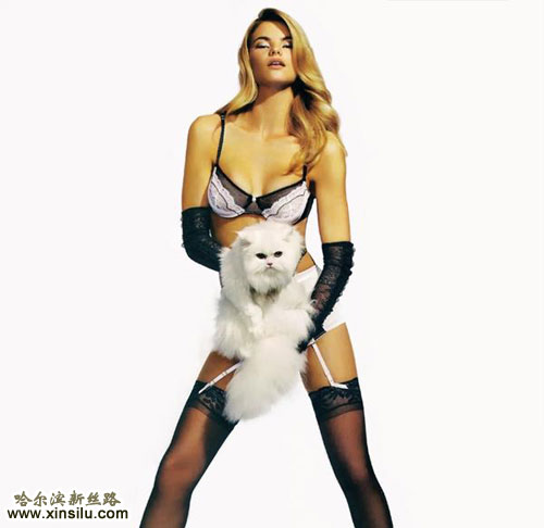 ά�����ǵ�����