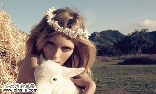 ������Ļ�ɴ��