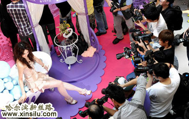 ��۴�������