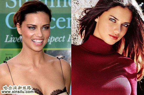 ��Ȣ��ģ�����ŵ�����