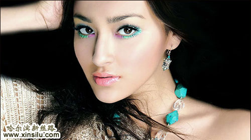 �ձ���Ѫ��ģ����������