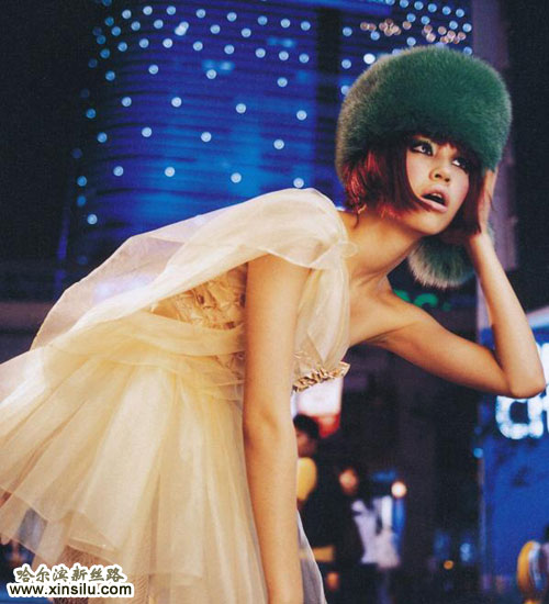 �ձ���Ѫģ��