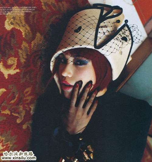 �ձ���Ѫģ��